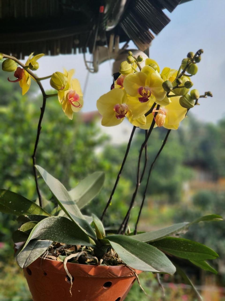 Villa Byve Garden Hanoi Esterno foto