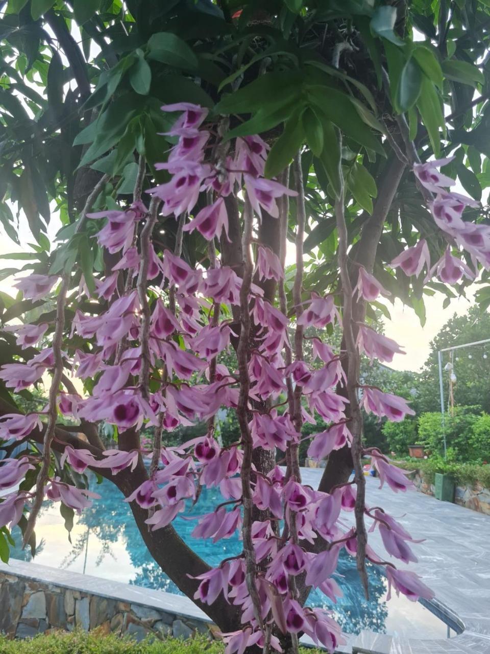 Villa Byve Garden Hanoi Esterno foto
